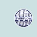 Everflow Scientific Instruments