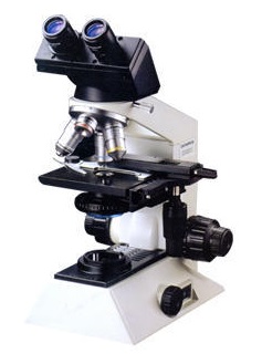 CH-20i Olympus Binocular Microscope