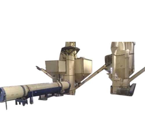 Plaster of Paris Plant