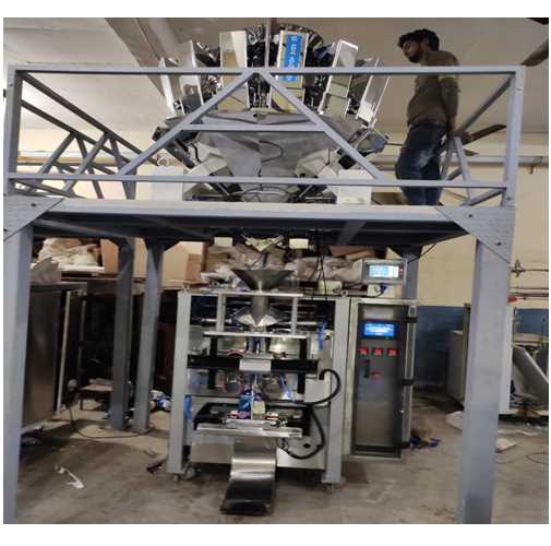 Multi Head Packing Machine