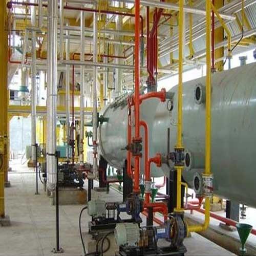 Herbal Extraction Plant