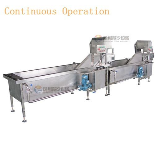 Commercial Continuous Vegetable Washing Line