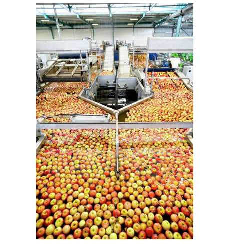 Fruit Processing Plant