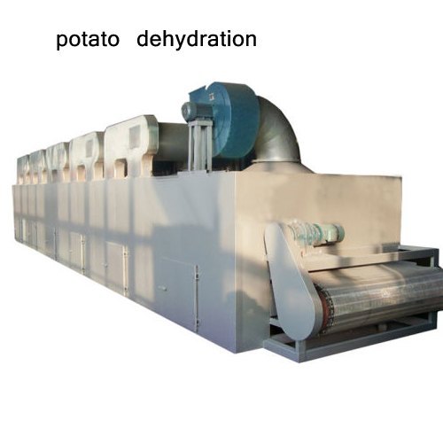 Onion Dehydration Plant Manufacturers