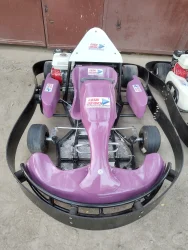   Single Seater Karts