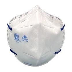 Safety mask