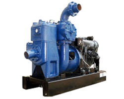 Industrial Sludge Pumps