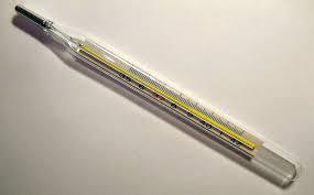 Clinical Thermometer  Mercury