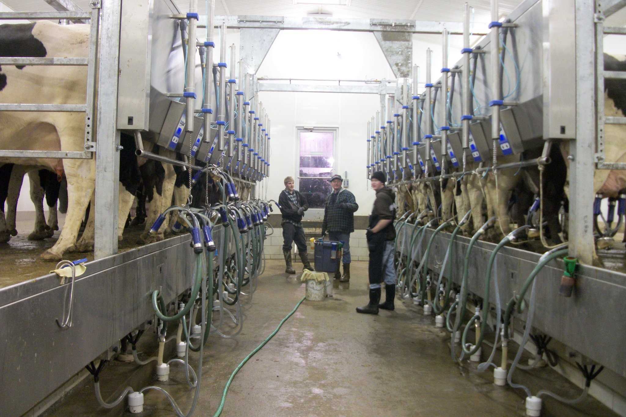 Milking parlor