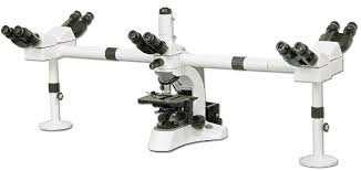 Multi head microscope
