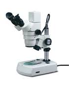 Dissecting microscope