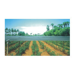 Agriculture Shade Nets