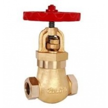Zoloto Controllable Feed Check Valve Straight Pattern Screwed Type