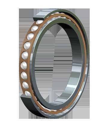 Spindle Bearing