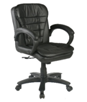 Low Back Comfort Chair EW 606