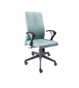 Low Back Chair EE 205