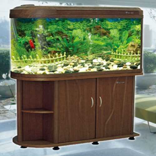 Decorative Fish Aquarium