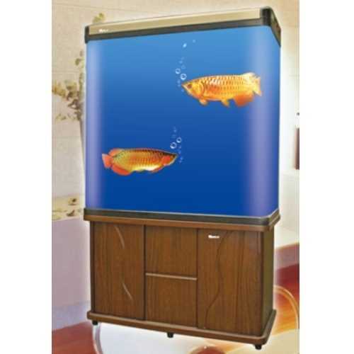 Wooden Fish Aquarium