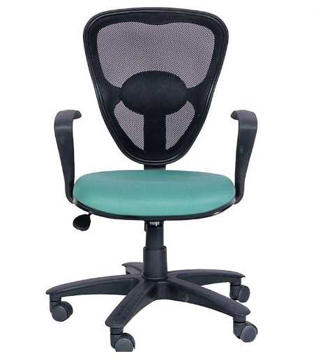 Advanto Low Back Mesh chair AVPN G 105