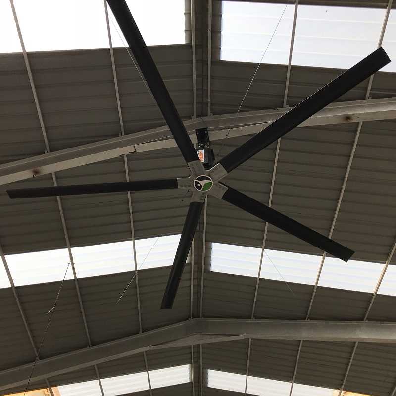 Industrial HVLS Fan for Shade