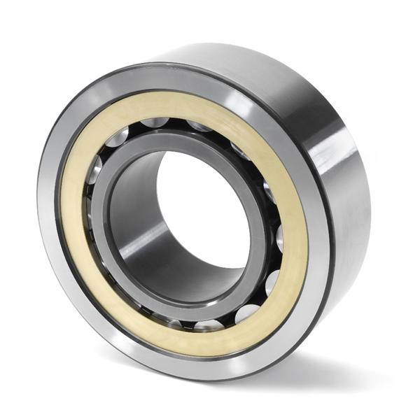 Special Cylindrical Roller Bearings