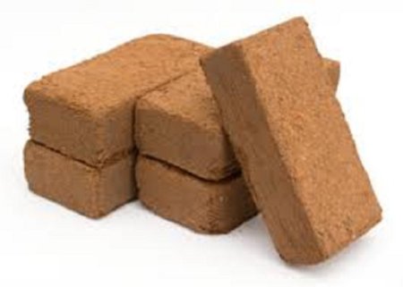 Coco Peat Bricks