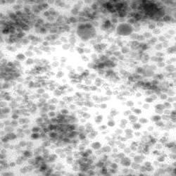 Industrial Chemicals 