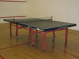 Table Tennis Court