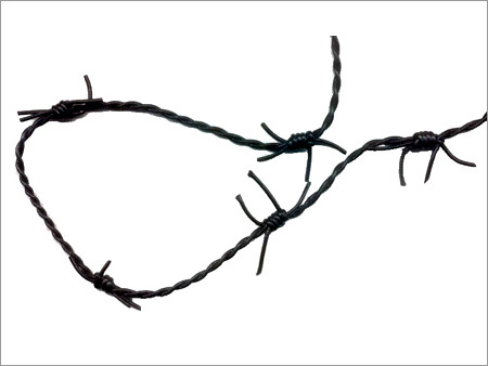 Leather Barb Wire