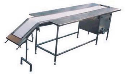 Packing Conveyors