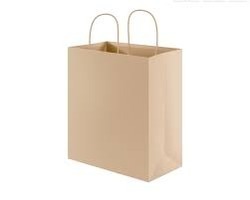 PAPER CARRY BAGS