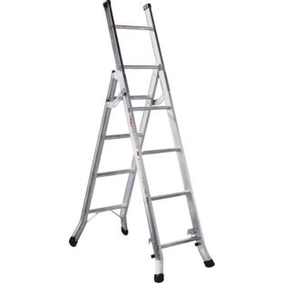 Domestic Ladder