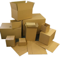 Duplex Carton Packaging