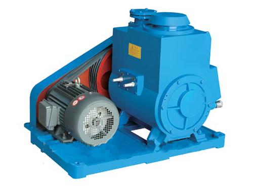 Rotary Vacuum Pump
