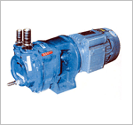Monoblock Water Ring Pumps