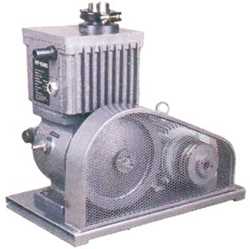 Rotary Vacuum Pumps