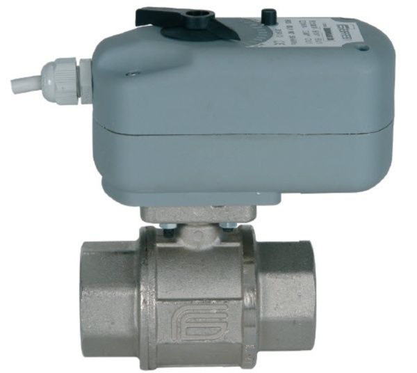 motorized globe valve